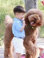 在广东做试管婴儿的费用与成功率情况如何？哪个医院最靠谱？