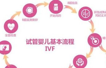 试管移植后不需要天天躺，掌握正确姿势和时间才是关键