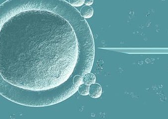 贵阳市第二人民医院一代试管婴儿多少钱