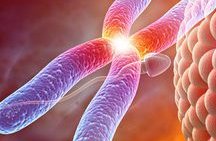 乌克兰试管婴儿要多少钱试管生混血宝宝费用贵吗